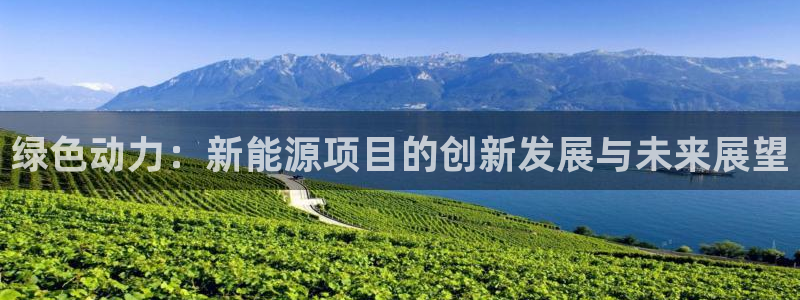 新宝gg手机:绿色动力:新能源项目的创新发展与未来展望