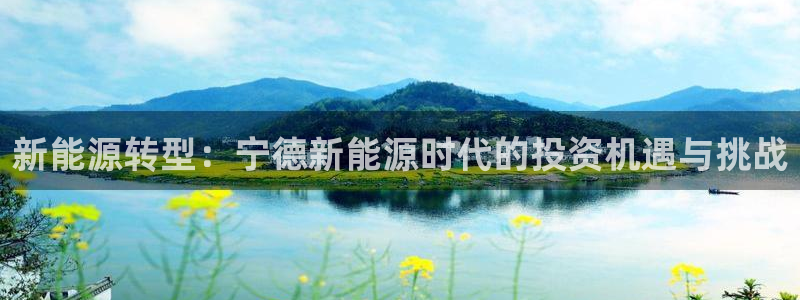 新宝gg—创造:新能源转型:宁德新能源时代的投资机遇与挑战