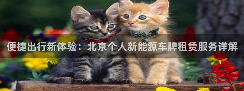 新宝 gg创造:便捷出行新体验:北京个人新能源车牌租赁服务详