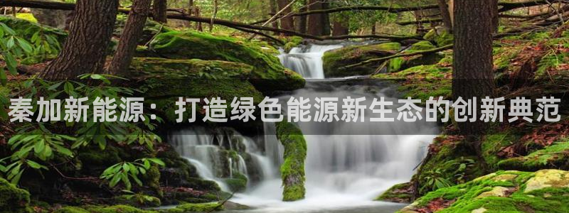 新宝太阳 gg:秦加新能源:打造绿色能源新生态的创新典范