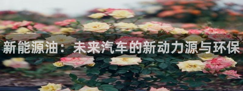 新宝gg开:新能源油:未来汽车的新动力源与环保