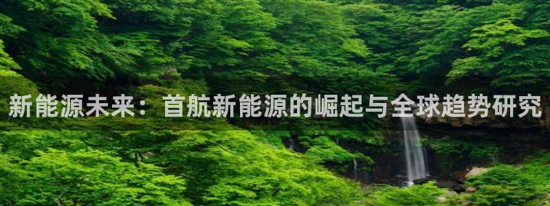 新宝gg网站:新能源未来:首航新能源的崛起与全球趋势研究