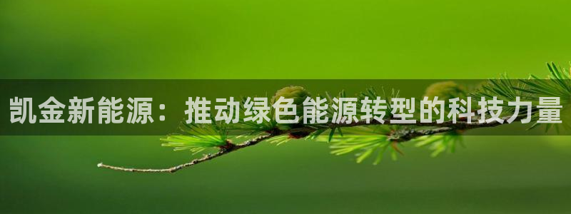 新宝gg测速登录:凯金新能源:推动绿色能源转型的科技力量