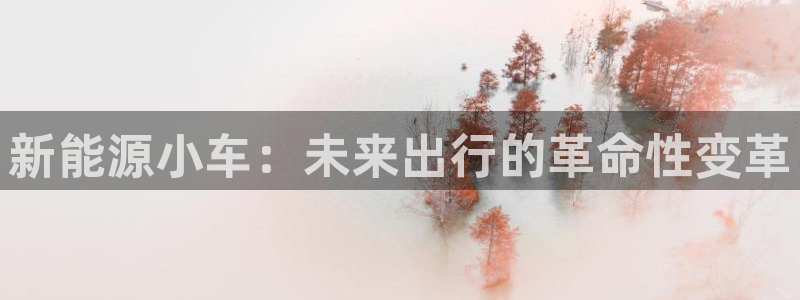 新宝gg线长:新能源小车:未来出行的革命性变革