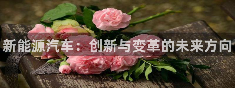 新宝gg手机app:新能源汽车:创新与变革的未来方向