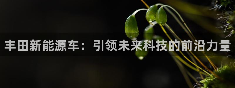 新宝gg属于:丰田新能源车:引领未来科技的前沿力量