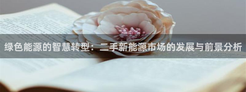 新宝 gg平台:绿色能源的智慧转型:二手新能源市场的发展与前
