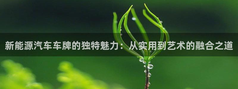 新宝gg投注:新能源汽车车牌的独特魅力:从实用到艺术的融合之