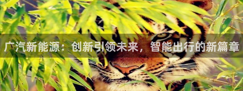 新宝gg和新宝5：广汽新能源：创新引领未