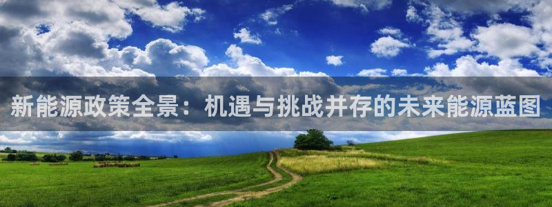 新宝GG寥78778：新能源政策全景：机