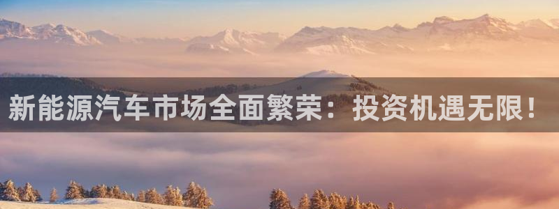 新宝gg主页：新能源汽车市场全面繁荣：投