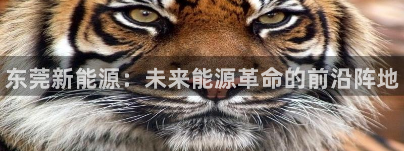 新宝六与新宝gg：东莞新能源：未来能源革