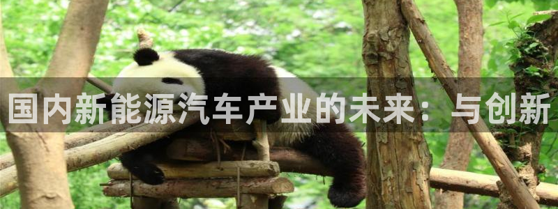 新宝gg新宝5：国内新能源汽车产业的未来