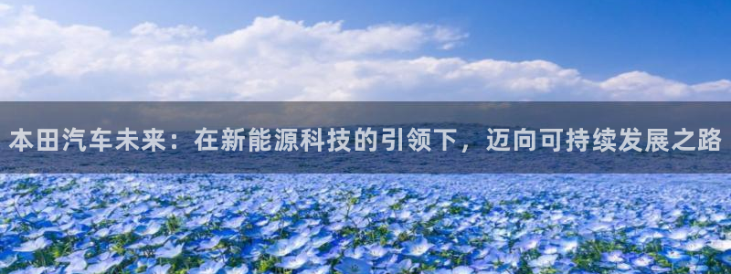 新宝gg违法：本田汽车未来：在新能源科技