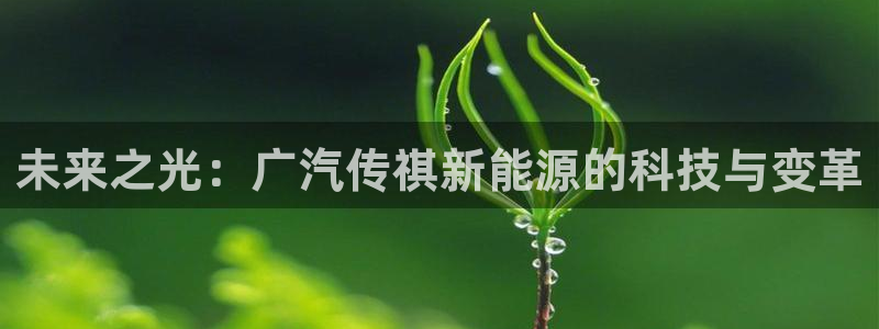 55新宝gg：未来之光：广汽传祺新能源的