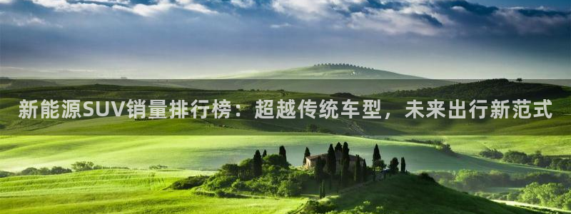 新宝gg app：新能源SUV销量排行榜
