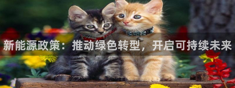 新宝gg入口网址：新能源政策：推动绿色转