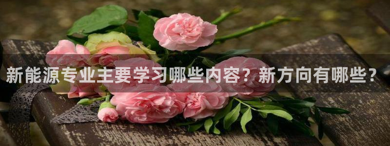 新宝gg — 创造!：新能源专业主要学习