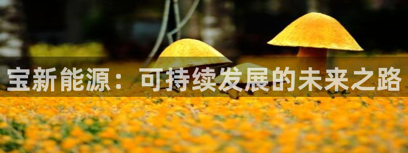 新宝gg主管花木兰：宝新能源：可持续发展
