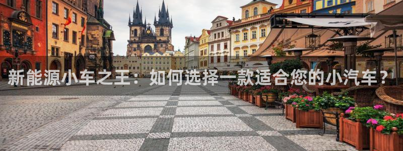 分分新宝gg：新能源小车之王：如何选择一