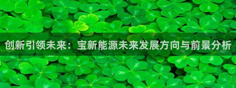 新宝GG槐78778：创新引领未来：宝新