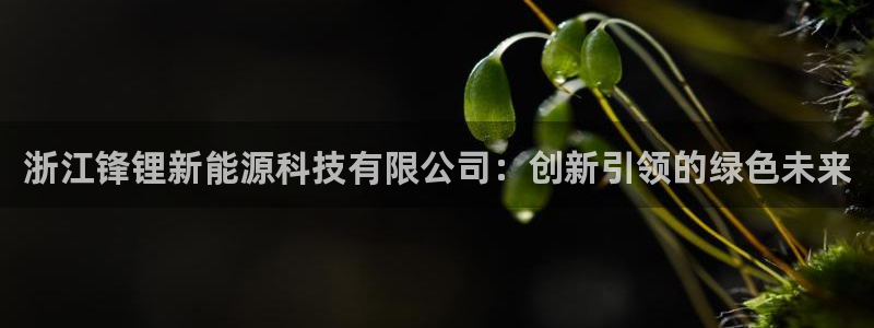 新宝gg手机登录官网：浙江锋锂新能源科技