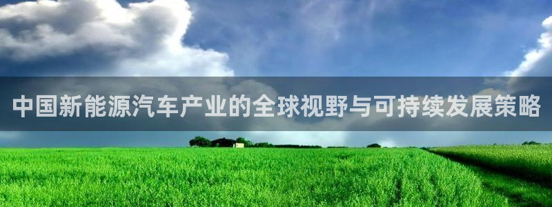 新宝gg体彩：中国新能源汽车产业的全球视
