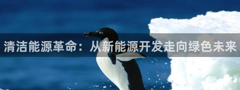 c新宝GG：清洁能源革命：从新能源开发走