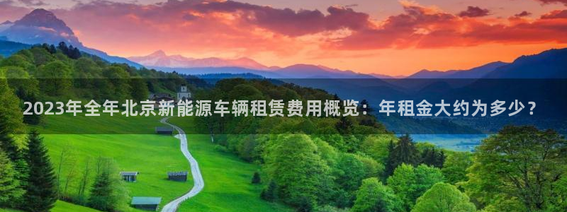 新宝gg软件下载：2023年全年北京新能
