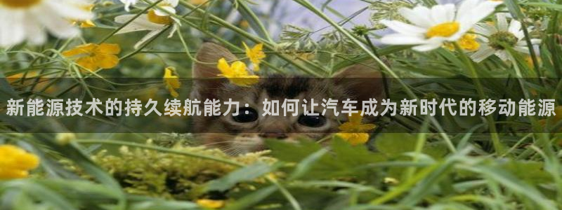 新宝gg 登陆：新能源技术的持久续航能力