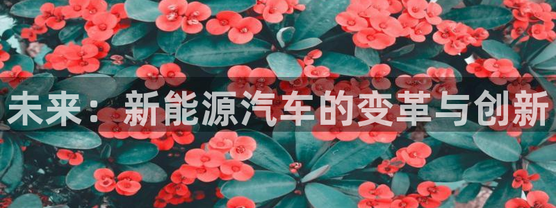 新宝gg计划：未来：新能源汽车的变革与创