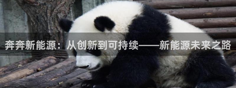 新宝gg待遇：奔奔新能源：从创新到可持续