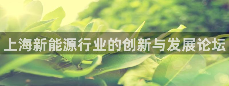 百度新宝gg：上海新能源行业的创新与发展