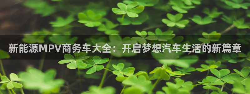新宝gg4：新能源MPV商务车大全：开启