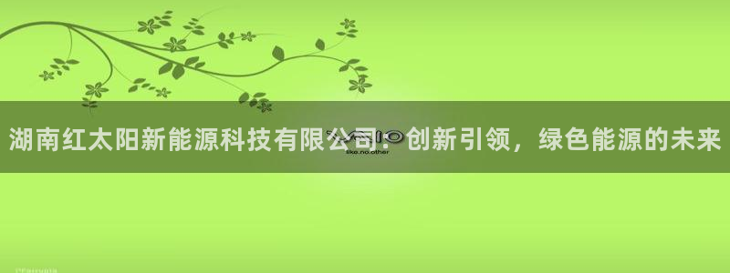 新宝gg开奖：湖南红太阳新能源科技有限公