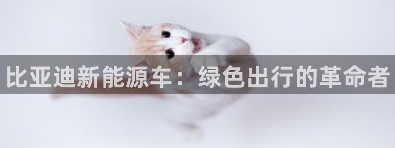 新宝gg8：比亚迪新能源车：绿色出行的革